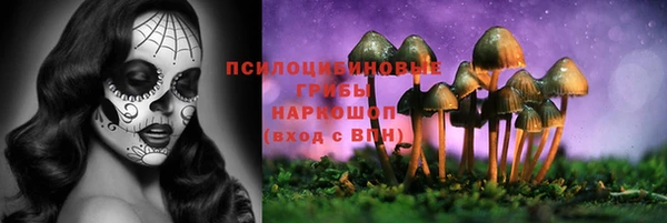 гашик Алексеевка