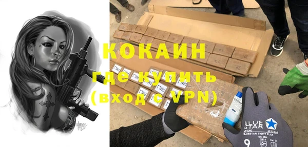 гашик Алексеевка