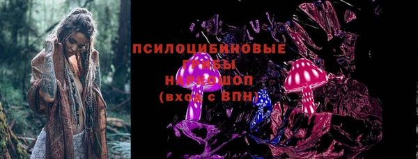 прущий лед Алексин