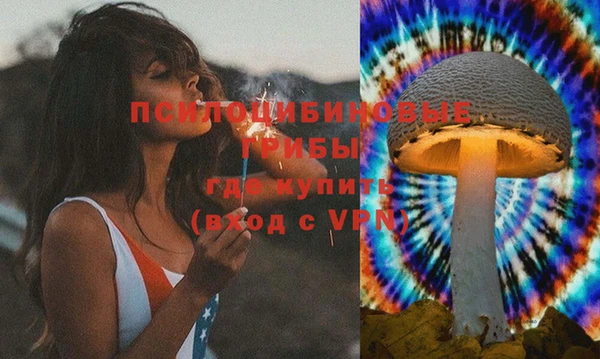 прущий лед Алексин